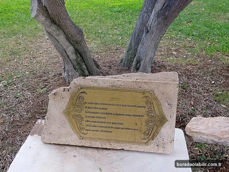 İzmir Kuş Cenneti flamingoları ve Gediz Deltası