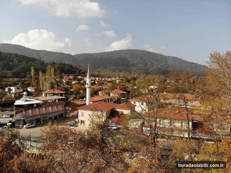 Milli Parklar, Kuş Alanları ve İzmir'in Zengin Biyoçeşitliliği kültürel mirası ve mimari detayları