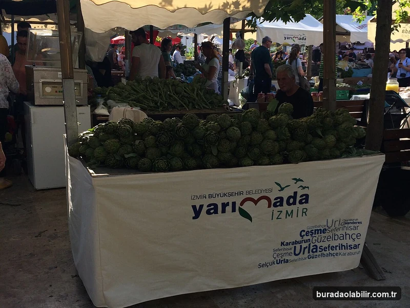 Bağ Rotaları Boyunca İzmir Gastronomi ve Asırlık Zeytin Lezzetleri kültürel mirası ve mimari detayları