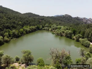 Kamp Rotaları, Yeşil Vadiler ve İzmir'de Ekoturizm Deneyimi kültürel mirası ve mimari detayları