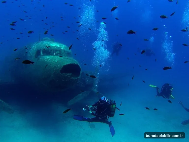 Sualtı Rotaları Boyunca İzmir'de Dalış Turizmi ve Deniz Yaşamı kültürel mirası ve mimari detayları