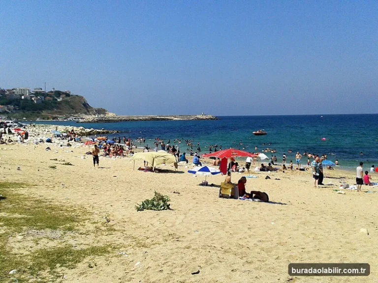 Deniz Koruma Alanlarıyla İzmir Sualtı Zenginlikleri ve Ekosistemi kültürel mirası ve mimari detayları