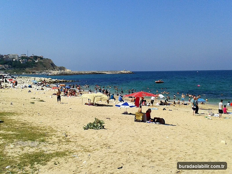 Deniz Koruma Alanlarıyla İzmir Sualtı Zenginlikleri ve Ekosistemi kültürel mirası ve mimari detayları