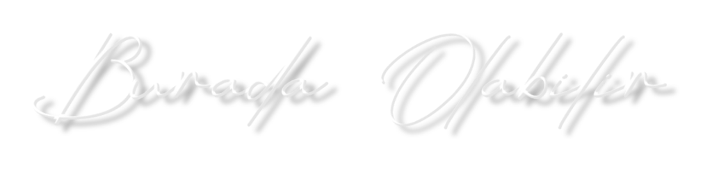 Burada Olabilir logo