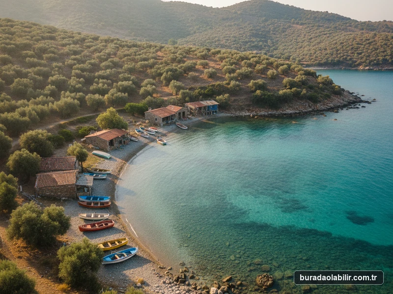 Boyabağı Koyu zeytin ağaçları berrak turkuaz deniz ve balıkçı kulübeleri Kösedere Karaburun İzmir
