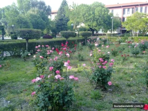 Buca Rees Köşkü Dokuz Eylül Üniversitesi Eğitim Fakültesi yerleşkesindeki taş mimarisi