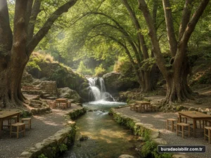 Dereköy Şelalesi asırlık çınar ağaçları dere kenarı tahta masalar kır kahvesi Tire İzmir