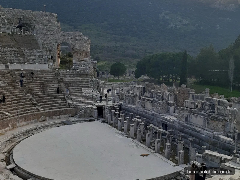 Efes Antik Tiyatrosu görkemli basamakları ve sahne binası