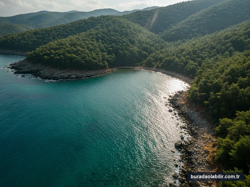 Ekmeksiz Koyu Tabiat Parkı çam ormanları korunaklı turkuaz denizi ve doğal kumsalı Seferihisar İzmir