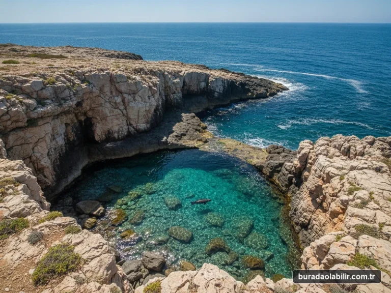 Mordoğan Ayıbalığı Koyu doğal havuz kaya falezleri ve turkuaz deniz Karaburun İzmir
