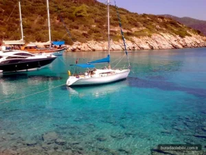 Foça Orak Adası kayalık sahili ve turkuaz Ege Denizi koyu