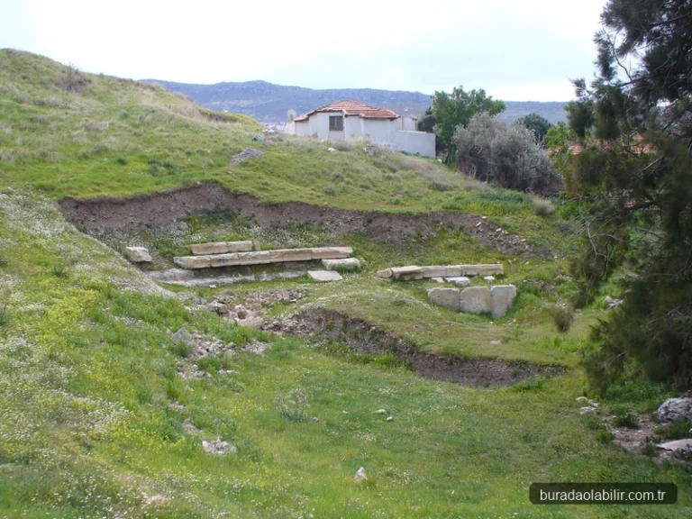 Phokaia Antik Tiyatrosu taş basamakları ve örenyeri kalıntıları
