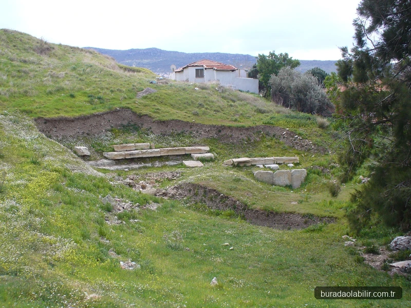 Phokaia Antik Tiyatrosu taş basamakları ve örenyeri kalıntıları