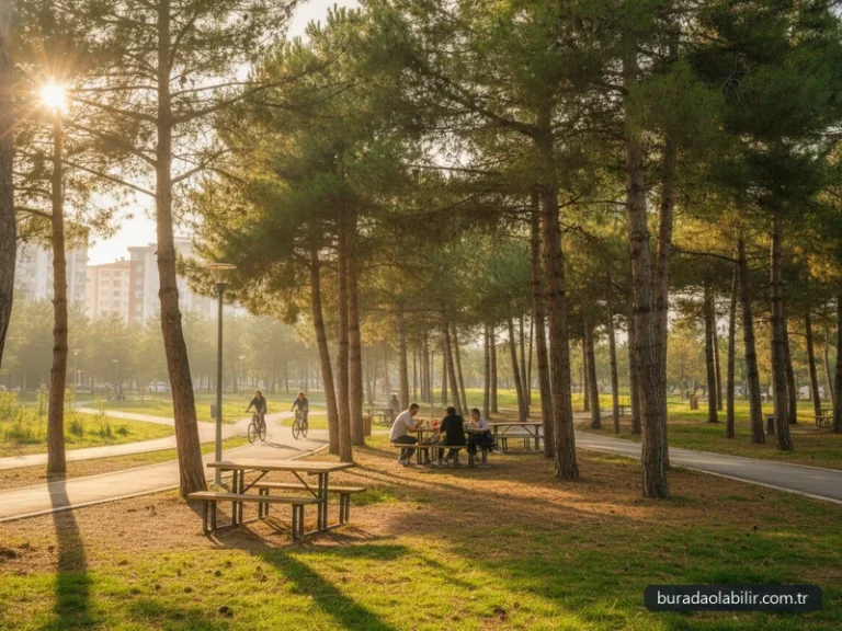 Sasalı Piknik Alanı Çiğli çam ağaçları ahşap piknik masaları yürüyüş parkuru İzmir