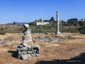 Selçuk Artemis Tapınağı tarihi sütunu ve arkeolojik kalıntıları