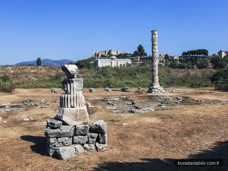 Selçuk Artemis Tapınağı tarihi sütunu ve arkeolojik kalıntıları